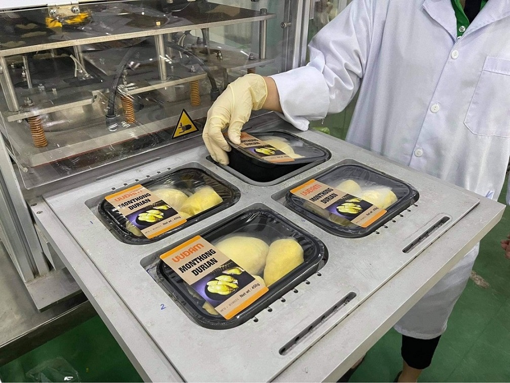 Sầu riêng Ri6 'cháy hàng' tại Australia, 45 tấn chưa cập bến đã được 'đặt gạch' Sầu riêng Ri6 'cháy hàng' tại Australia, 45 tấn chưa cập bến đã được 'đặt gạch'