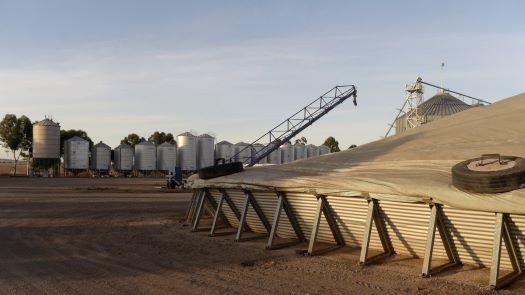 bac kinh bam nut dung dua cat sang dai loan trung quoc