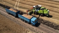 Nga và Ukraine 'bắt tay' hưởng lợi từ thỏa thuận ngũ cốc