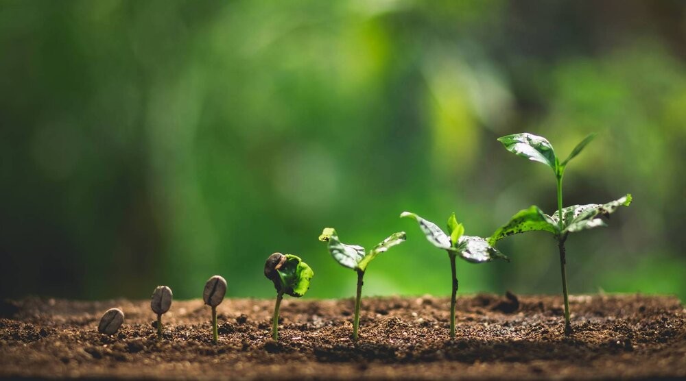 Chủ tịch EuroCham: Con đường tới tăng trưởng xanh bền vững của Việt Nam đầy tiềm năng Chủ tịch EuroCham: Con đường tới tăng trưởng xanh bền vững của Việt Nam đầy tiềm năng