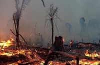 kinh nghiem chong giac lua bang bom cua nga