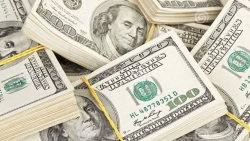 Tỷ giá USD hôm nay 2/9: Euro, Nhân dân tệ tăng ấn tượng, USD vẫn giảm nhanh