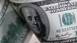 Tỷ giá USD hôm nay 4/9: Euro nhanh chóng lao dốc, USD ngừng 'dậy sóng'