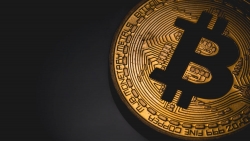 Tiếp lộ trình tăng 'thần tốc', Bitcoin lần đầu vượt 30.000 USD