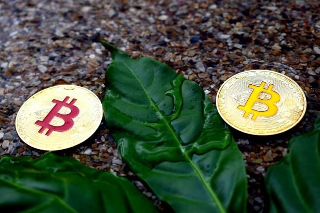 5028-bitcoin-08500271