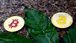 Tiền điện tử hôm nay 9/9: Thị trường nhuộm sắc đỏ, Bitcoin 'lao dốc không phanh'