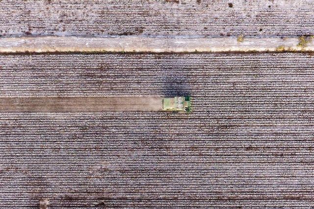 3107-99-my-muon-chan-hang-det-may-nhap-khau-tu-trung-quocdocx-1599623503560