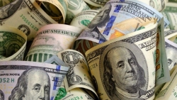 Tỷ giá USD hôm nay 13/9: Thị trường chứng khoán Mỹ chưa ổn định, USD tăng giá