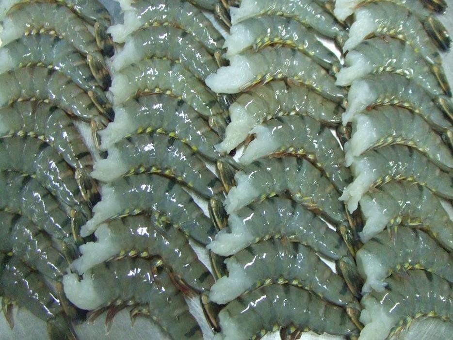 5831-3236962263337239-ad36