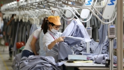 Xuất nhập khẩu ngày 19-21/9: Nhiều mặt hàng Việt Nam 'hái' tiền tỷ ở Mỹ, Thịt lợn trong nước tăng giá trở lại