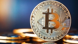 Tiền điện tử hôm nay 23/9: Bitcoin đi ngang, xu hướng lao dốc vẫn hiện hữu