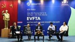 Chủ tịch VCCI: Cùng nắm tay nhau vun xới 'cây đời xanh tươi' EVFTA