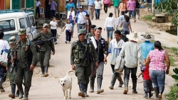 Colombia thúc đẩy việc bồi thường cho nạn nhân của xung đột vũ trang