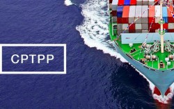 Hiệp định CPTPP tạo xung lực cho hàng Việt chinh phục thị trường châu Mỹ