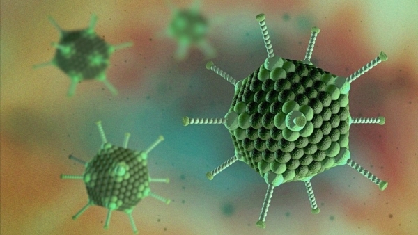 Adenovirus: Số ca bệnh tăng cao, lây truyền thế nào? Bộ Y tế bàn gấp giải pháp