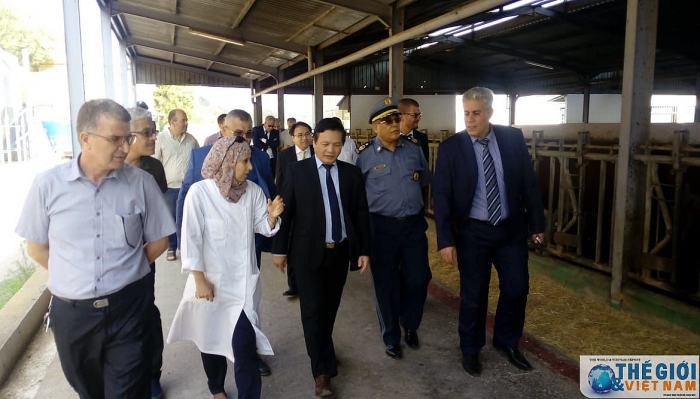 xuc tien hop tac thuong mai va dau tu viet nam algeria tai tinh tipaza