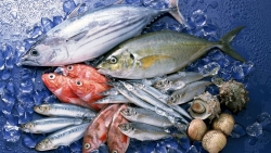 Xuất nhập khẩu ngày 3-5/10: Da giày, thủy sản 'bứt tốc' vào EU, hàng Việt chịu gần 200 vụ kiện phòng vệ thương mại