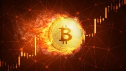 Tiền điện tử Bitcoin hôm nay 14/10: Lao dốc cùng giá vàng, trong 24h bị 'cuốn bay' 115 USD