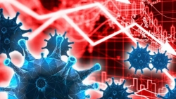 WTO: Tăng trưởng thương mại toàn cầu có thể phục hồi vào năm 2021