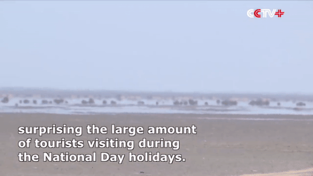 Bất ngờ với hồ nước xuất hiện giữa sa mạc khô cằn ở Trung Quốc