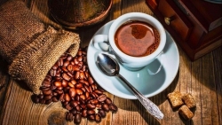 Xuất nhập khẩu ngày 10-12/10: Xuất khẩu cà phê 'nếm mùi' sụt giảm vì Covid-19, EVFTA sẽ tạo đòn bẩy cho thủy sản tỏa sáng