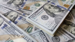 Tỷ giá USD hôm nay 15/10: Giảm giá, USD trở lại với xu hướng thường thấy trong thời gian dài qua