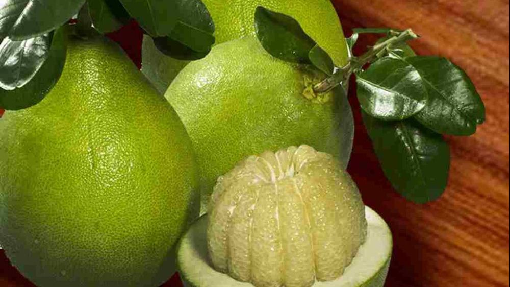 xuat nhap khau 171910 nganh mia duong gap kho buoi tuoi viet nam co them thi truong xuat khau moi