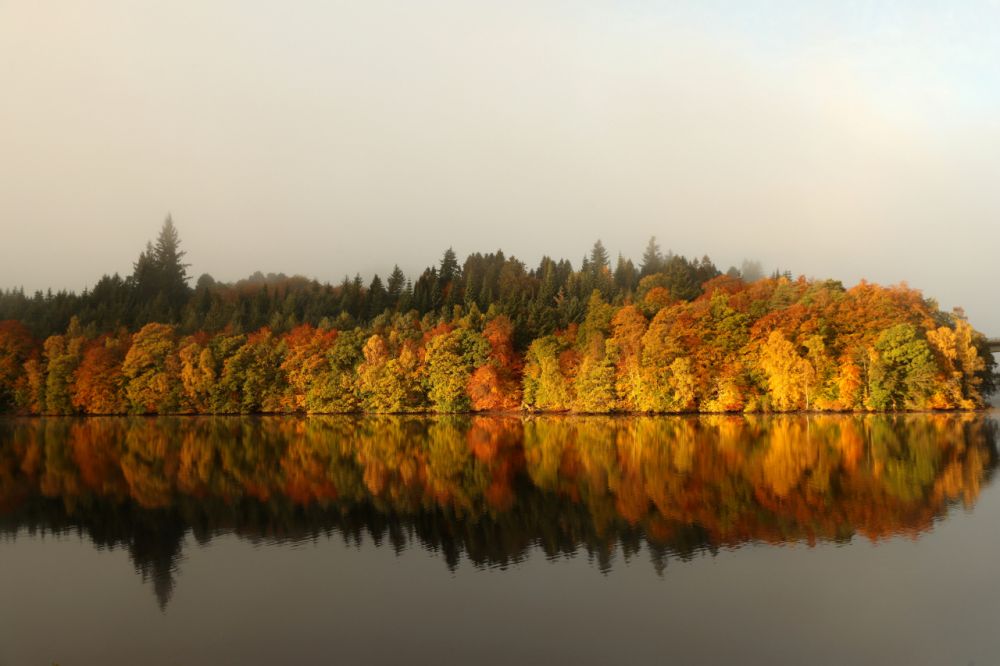 'Mãn nhãn' với cảnh sắc mùa Thu trên khắp thế giới