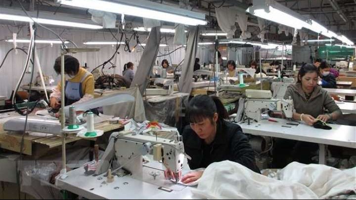 nhat ban nhieu doanh nghiep tiep nhan thuc tap sinh bi phat hien vi pham phap luat