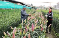 quang ninh tang toc trien khai ke hoach phat trien kinh te xa hoi nam 2020