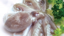 Xuất nhập khẩu ngày 7-9/11: Xuất khẩu mực, bạch tuộc tăng 'sốc', thị trường cá tra đang 'ấm dần'