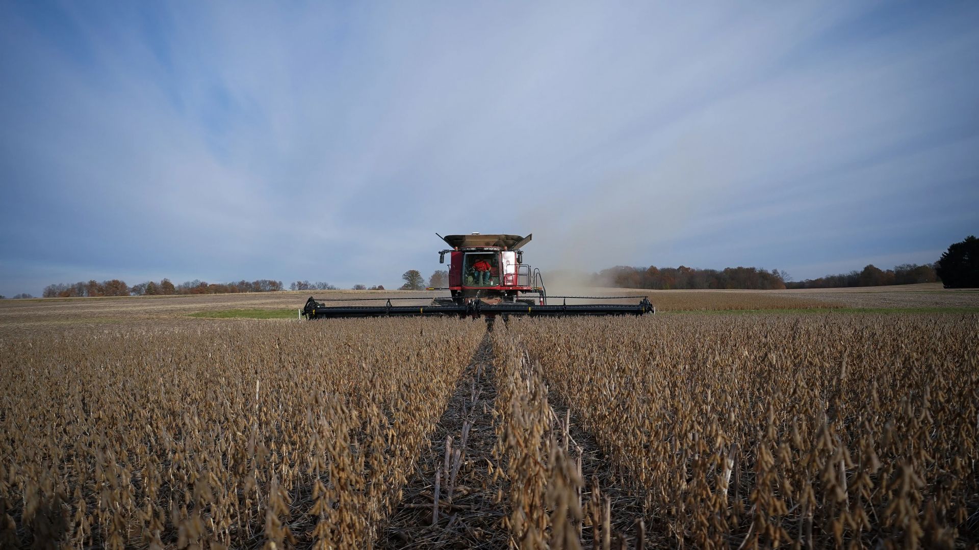 Thỏa thuận thương mại Mỹ - Trung giai đoạn 1: Không quá nhiều kỳ vọng thoa thuan thuong mai my trung giai doan 1 khong dat nhieu ky vong