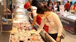 Giá heo hơi hôm nay 11/12: Miền Bắc tiếp đà tăng, miền Nam quay đầu giảm