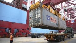 Trung Quốc: Xuất khẩu tháng 11 tăng mạnh nhất trong 3 năm