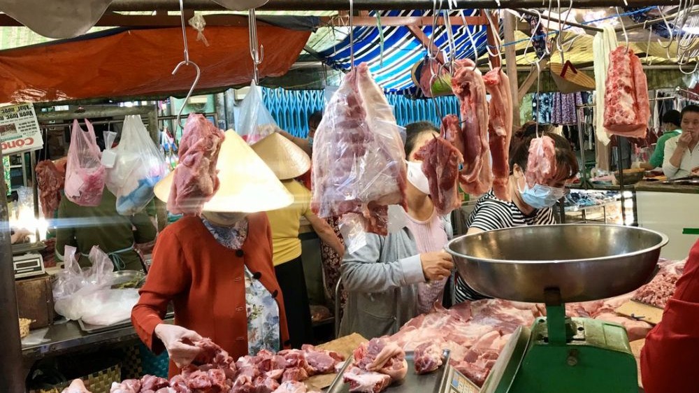 gia heo hoi hom nay 301 gia heo hoi tiep tuc lang song thap nhat 51000 dongkg