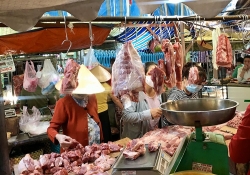 今日4月10日生豬價格：北方地區生豬價格小幅上漲； 如何應對動物飼料價格飛漲？