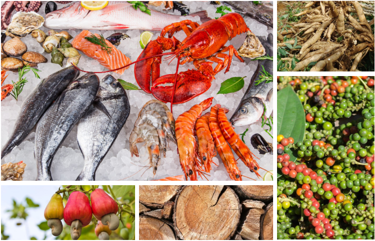 (Nguồn: Moit.gov.vn)