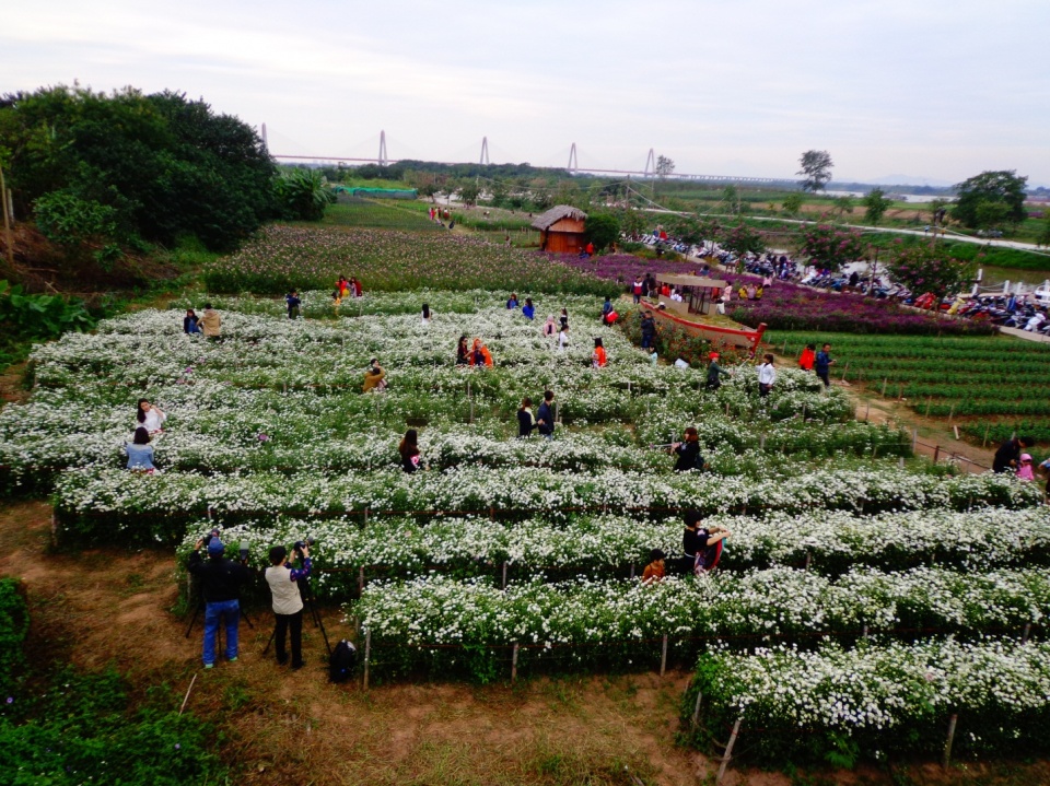 thuong ngoan thien nhien trong long do thi