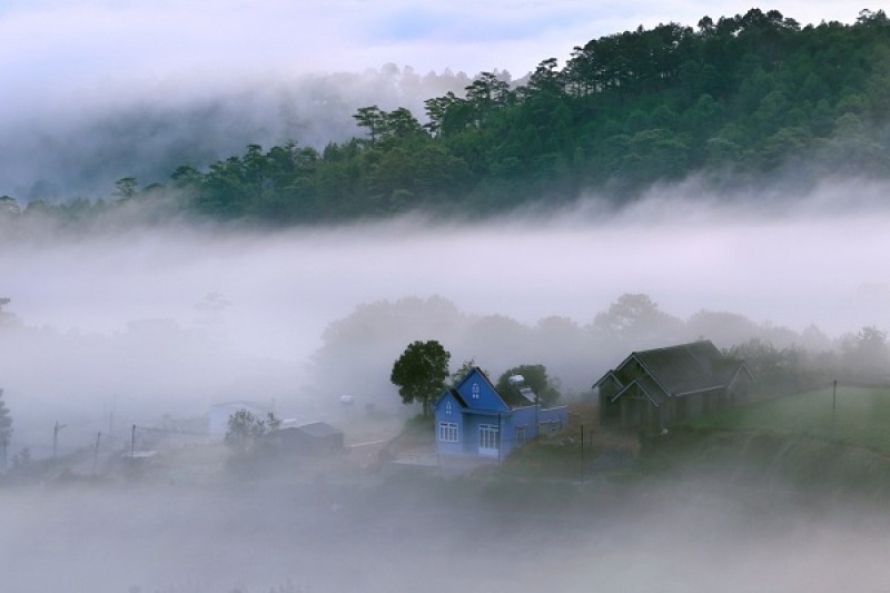 Những khuôn hình đầy chất thơ Đà Lạt nhung khuon hinh day chat tho da lat
