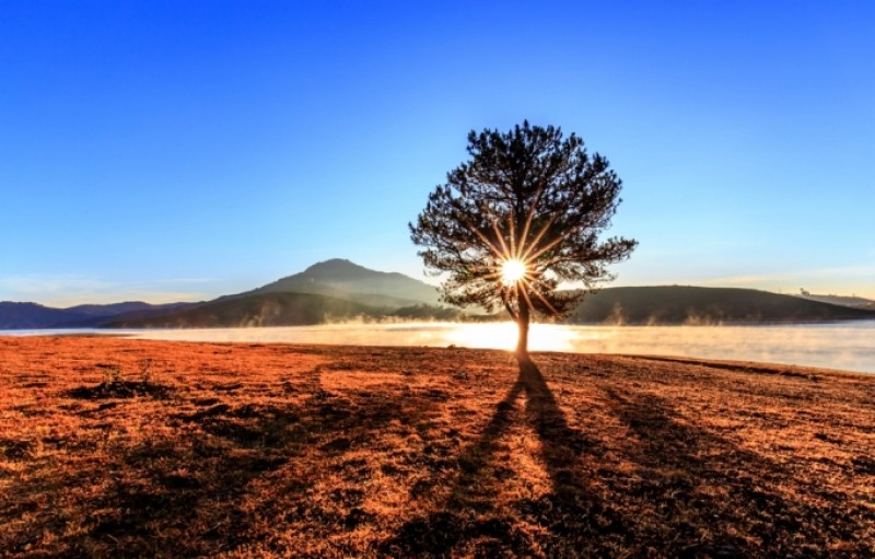 Những khuôn hình đầy chất thơ Đà Lạt nhung khuon hinh day chat tho da lat