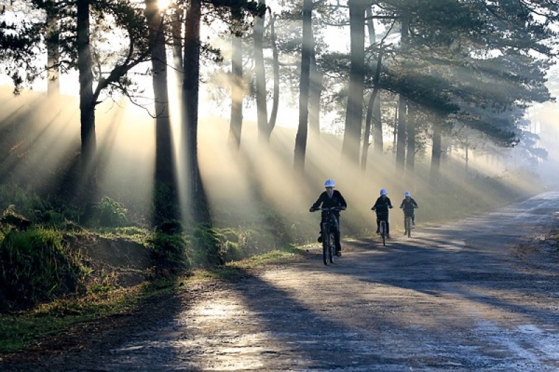 Những khuôn hình đầy chất thơ Đà Lạt nhung khuon hinh day chat tho da lat