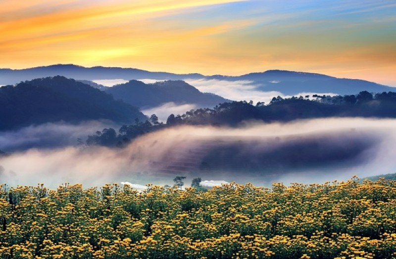 Những khuôn hình đầy chất thơ Đà Lạt nhung khuon hinh day chat tho da lat