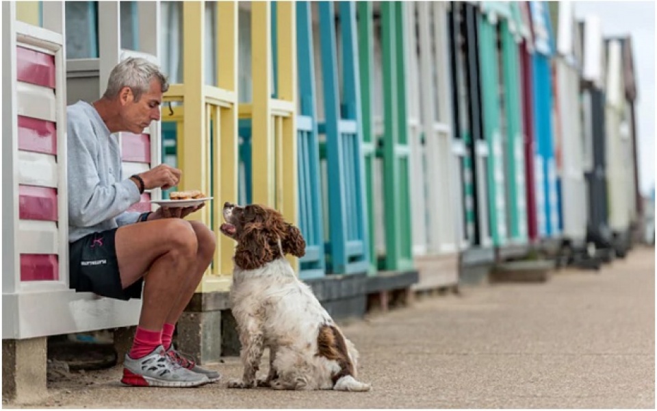 loai cho da dong hanh voi con nguoi lau hon chung ta tuong