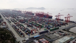 Bất chấp dịch bệnh, Thượng Hải vẫn có lượng container qua cảng lớn nhất