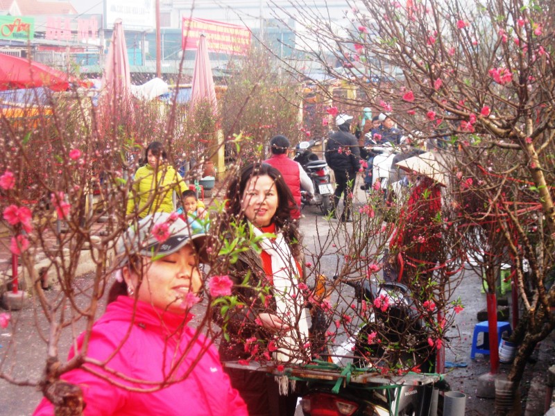 ruc ro sac xuan hoa tu lien ngay tet