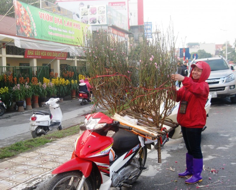 ruc ro sac xuan hoa tu lien ngay tet