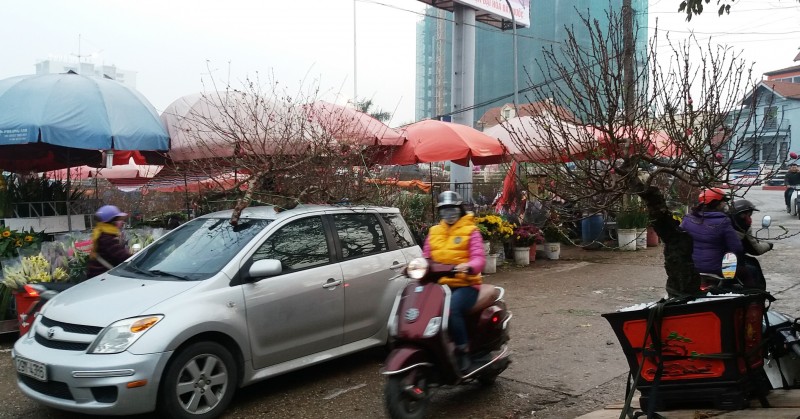 ruc ro sac xuan hoa tu lien ngay tet