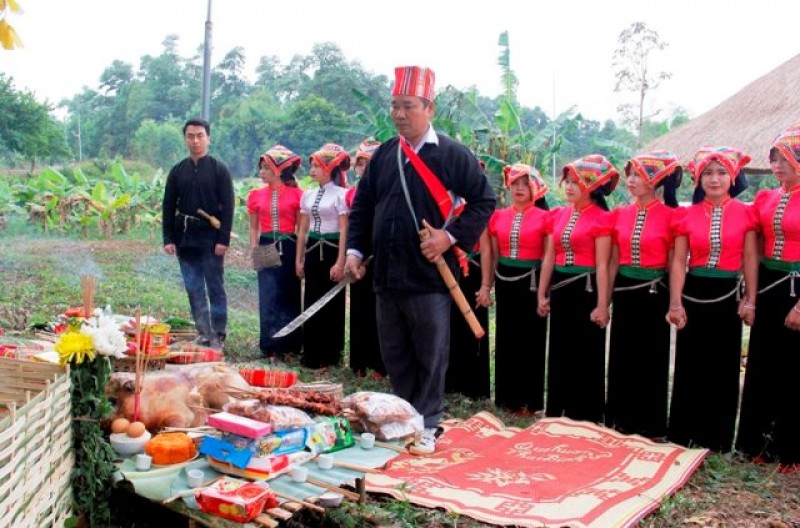 le cau an cua nguoi thai tai ngoi nha chung