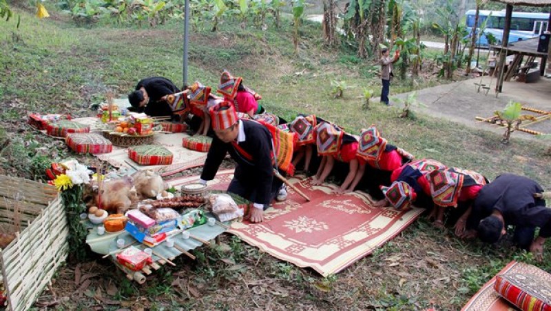 le cau an cua nguoi thai tai ngoi nha chung