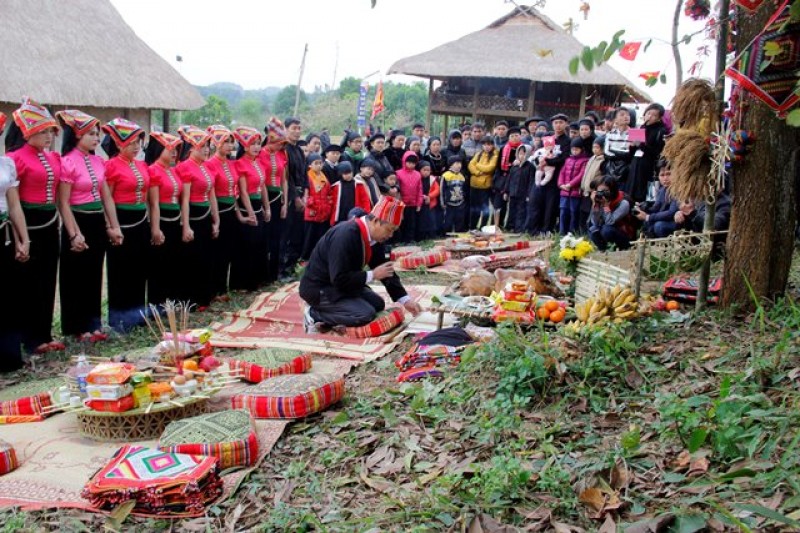 le cau an cua nguoi thai tai ngoi nha chung